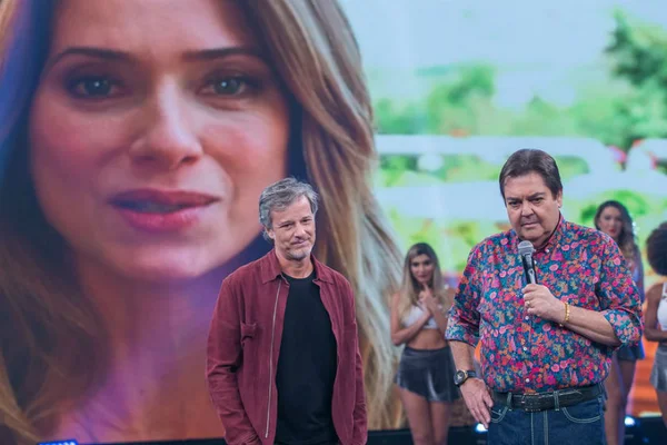 No “Faustão”, Marcello Novaes fala sobre divórcio com Letícia Spiller
