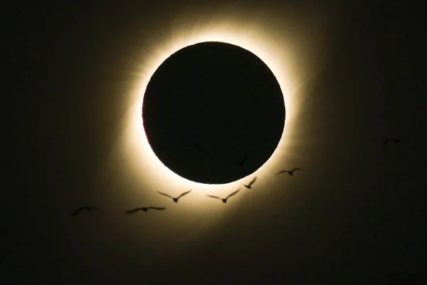 Onde e quando poderá ser visto o eclipse solar total no dia 14 de dezembro