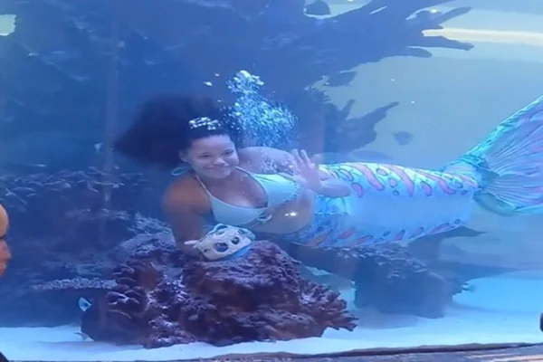 “Sereia” fica presa pela cauda em aquário na África do Sul; veja vídeo