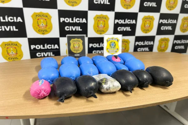 Operação apreende 30 kg de haxixe e skunk avaliados em R$ 1 milhão
