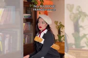 Buldog francês 