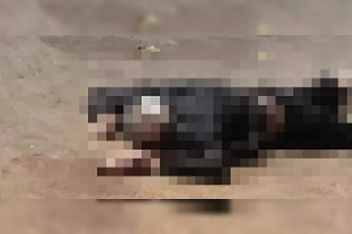 Homem espancado no Gama Homem espancado no Gama