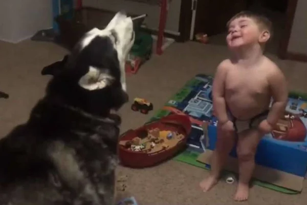 Bebê e cachorro brincando