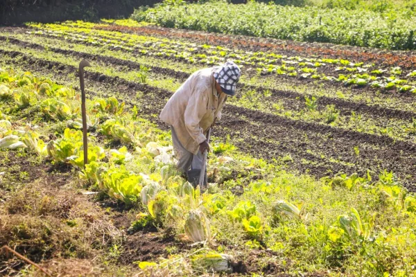 Foto colorida de um produtor rural - Metrópoles