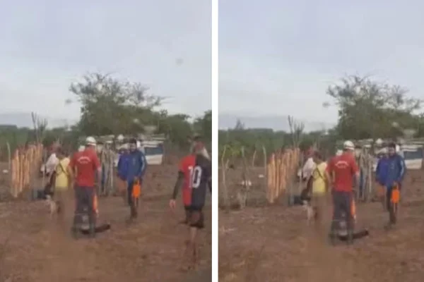 Imagem colorida de homem preso em uma cerca - Metrópoles