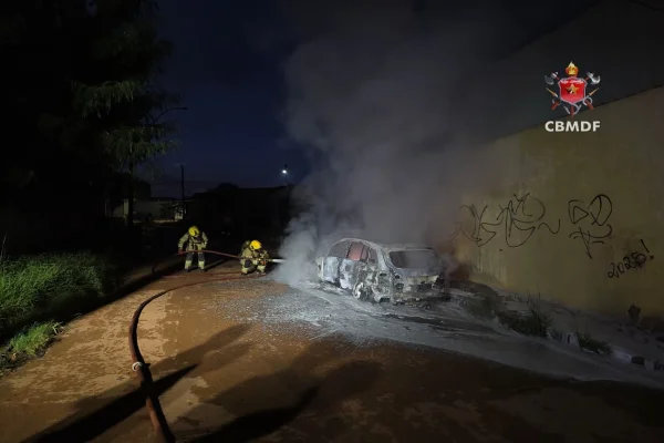 Carro fica destruído após ser consumido por chamas em via do DF