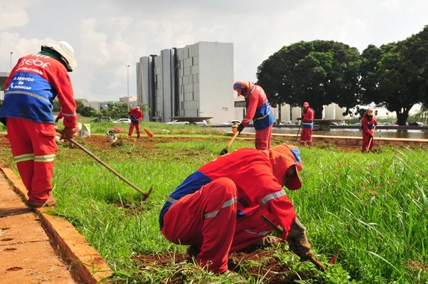 Servidores da Novacap voltam ao trabalho e podas e operação tapa-buraco são retomadas