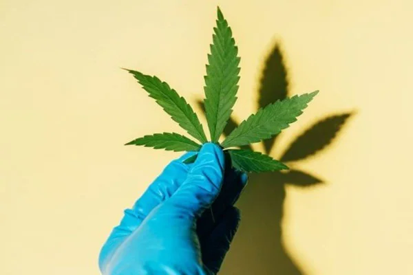 Técnico de enfermagem é preso por vender maconha por R$ 10 a cliente