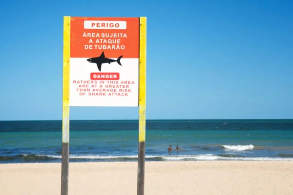 Imagem colorida de placas nas praias de Recife "Perigo" tubarões - Metrópoles