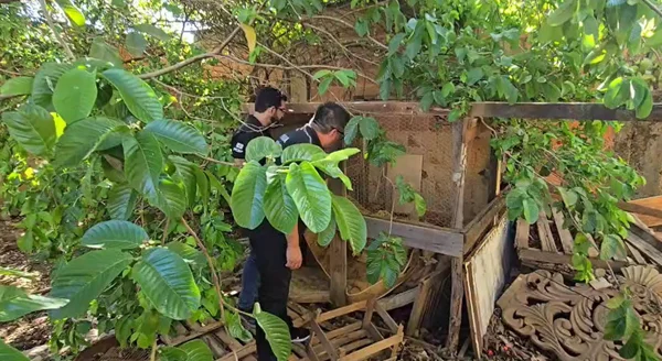 Homem de 71 anos é morto e tem corpo jogado dentro de galinheiro no DF