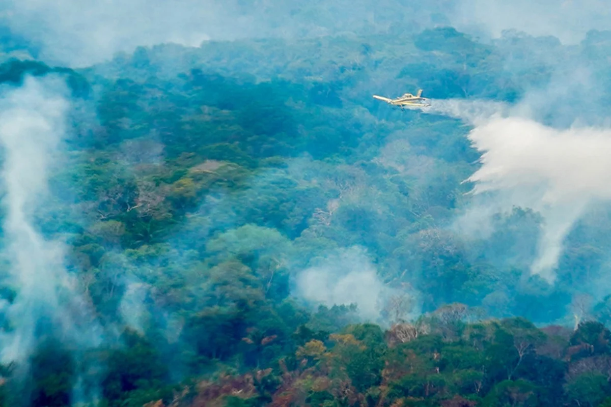 Governo diz ter identificado suspeitos de queimadas criminosas no Amazonas