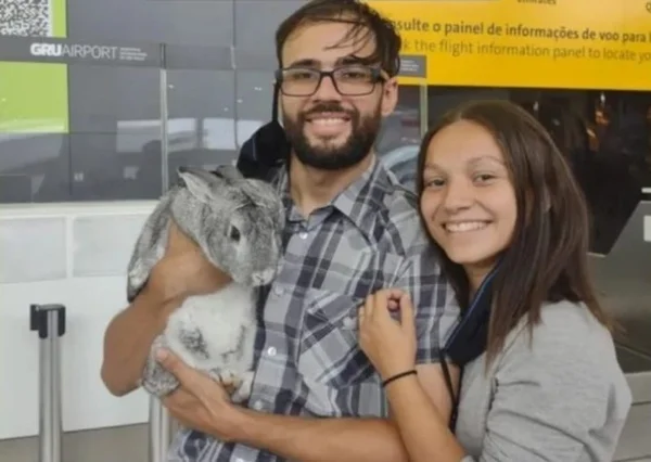 casal viaja com coelho
