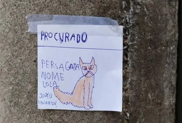 Menino desenha gata que fugiu e cola “cartazes” para encontrá-la