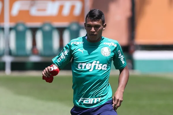 Herói do Palmeiras, Veron diz: “Depositam confiança porque tenho potencial”