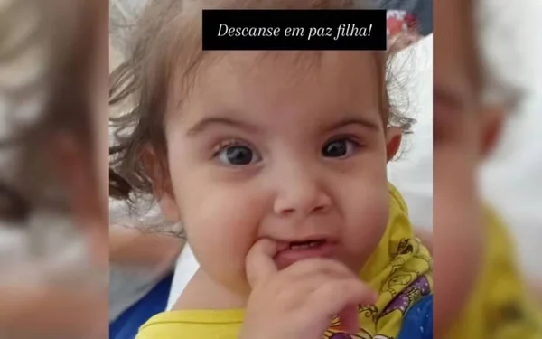imagem colorida siamesa de sp morre em goiania