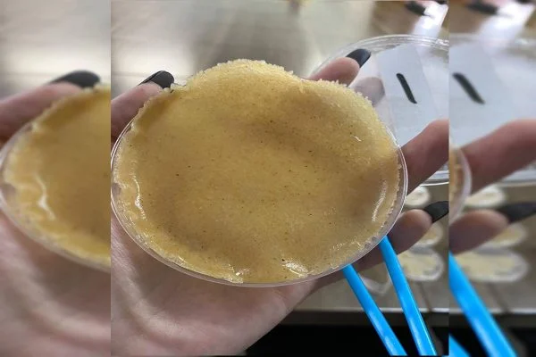 Fotografia colorida de plástico feito com casca de laranja