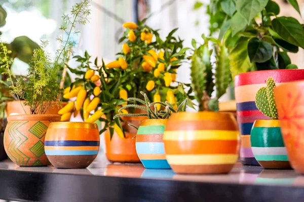Mercado Cobogó anuncia nova galeria e novidades gastronômicas
