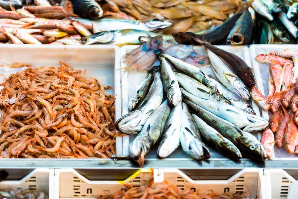 Peixes para vender