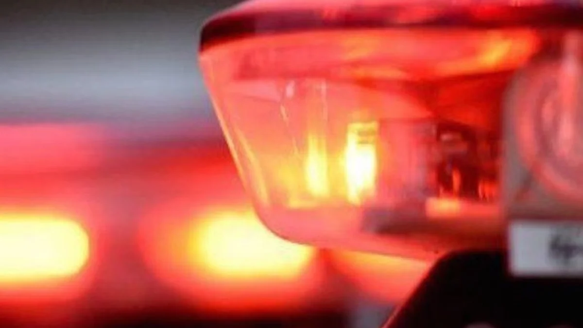 Crânio humano é achado atrás de igreja no Lago Norte e PCDF investiga