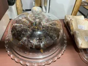 Bolo de cenoura com cobertura de chocolate, cujo pedaço é vendido a R$ 40 na COP30 Bolo de cenoura com cobertura de chocolate, cujo pedaço é vendido a R$ 40 na COP30