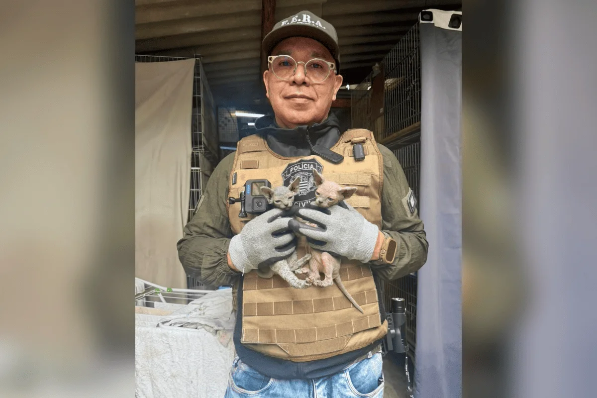 A ação foi realizada no bairro do Belenzinho, na zona leste de São Paulo A ação foi realizada no bairro do Belenzinho, na zona leste de São Paulo