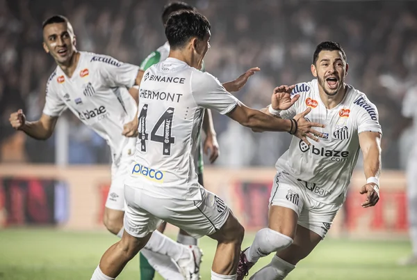 Imagem colorida jogadores Santos