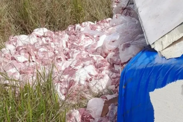 BA: caminhão com carga suína tomba e duas pessoas são detidas