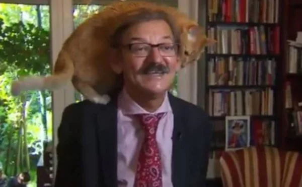 Gato interrompe professor durante entrevista ao vivo na TV