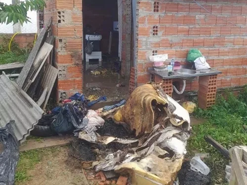 incendio-criminoso-lontra-sc-metropoles