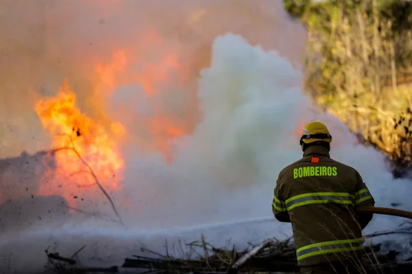 Militares do Corpo de Bombeiros do Distrito Federal trabalham para controlar incêndio em área de mata da UNB Metropoles