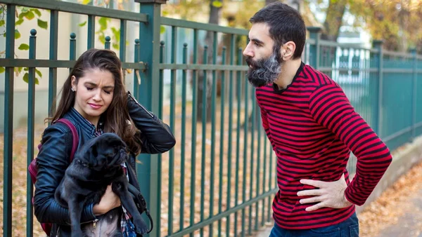Guarda compartilhada de pets exige rotina e planejamento entre tutores