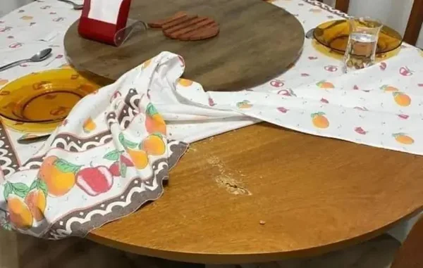 Grávida baleada dentro de casa em Itajaí (SC) perde o bebê