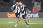 Botafogo está no G6