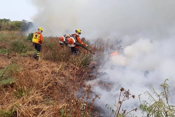 Bombeiros que atuaram em incêndios no Pantanal retornam ao DF