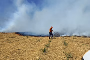 Brigadista combate foto em vegetação em Pedregulho, no interior de SP