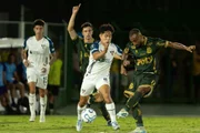 Mirassol busca vantagem em casa diante da LDU no primeiro duelo do mata-mata da Libertadores Mirassol busca vantagem em casa diante da LDU no primeiro duelo do mata-mata da Libertadores