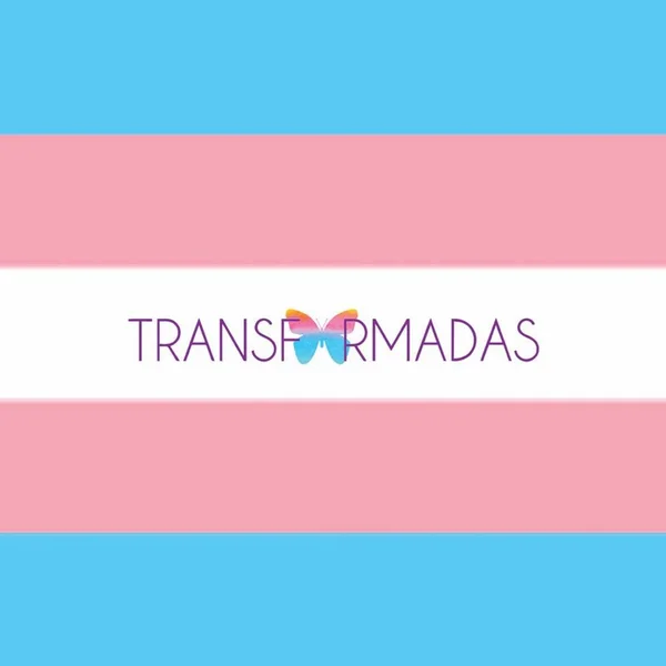 ONG promove cursos de capacitação profissional para mulheres trans