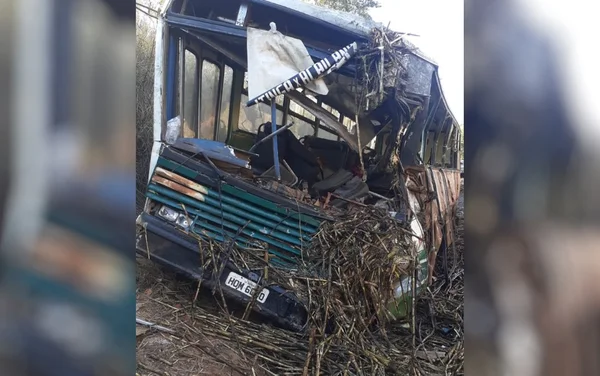 goias acidente onibus e caminhão