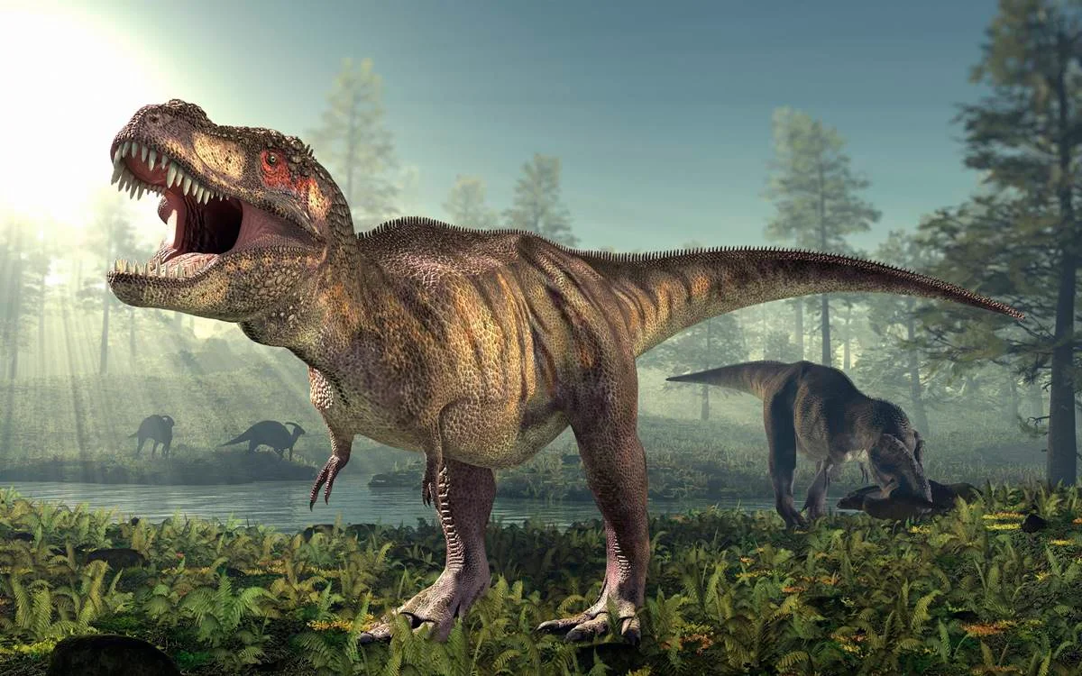 Primeiro embrião de tiranossauro descoberto. Foram encontrados bebês dinossauros que ainda não tinham saído das cascas no Canadá e nos Estados Unidos. Os nenéns eram do tamanho de um chihuahua, mas com um rabo comprido, cerca de um décimo do tamanho de um adulto Primeiro embrião de tiranossauro descoberto. Foram encontrados bebês dinossauros que ainda não tinham saído das cascas no Canadá e nos Estados Unidos. Os nenéns eram do tamanho de um chihuahua, mas com um rabo comprido, cerca de um décimo do tamanho de um adulto