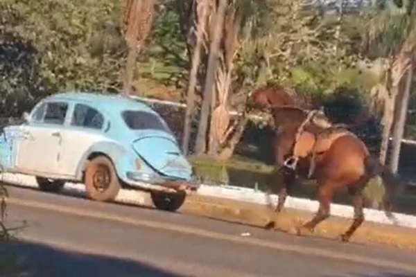cavalo arrastado piracanjuba goias - Metrópoles