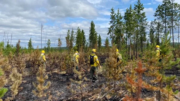 Imagem colorida de combatentes enviados para a missão humanitária contra os incêndios florestais no Canadá - Metrópoles