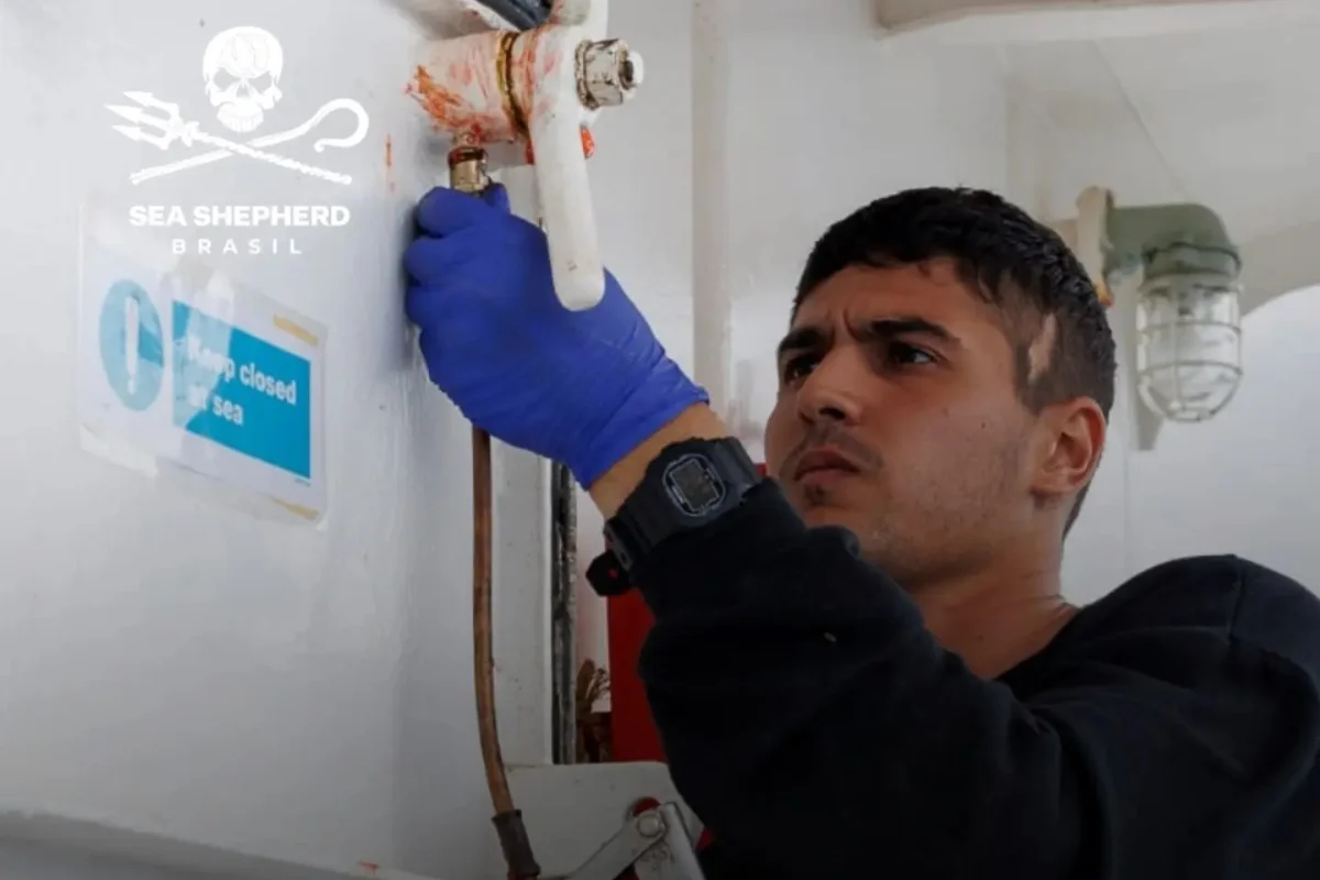 Segundo a ONG Sea Shepherd Brasil, os detidos ficaram horas sem poder se comunicar com as famílias Segundo a ONG Sea Shepherd Brasil, os detidos ficaram horas sem poder se comunicar com as famílias
