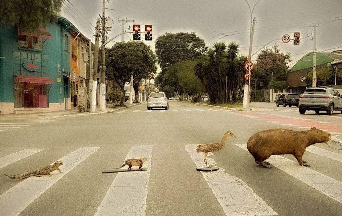 Existe Bicho em SP? Existe Bicho em SP?