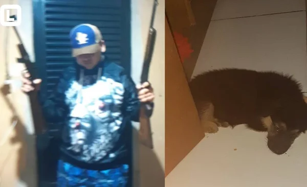 Armas e pastor alemão: homem é preso após “ostentar” produtos roubados