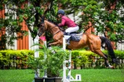Com elegância, Vegas foi bicampeão brasileiro de hipismo Com elegância, Vegas foi bicampeão brasileiro de hipismo