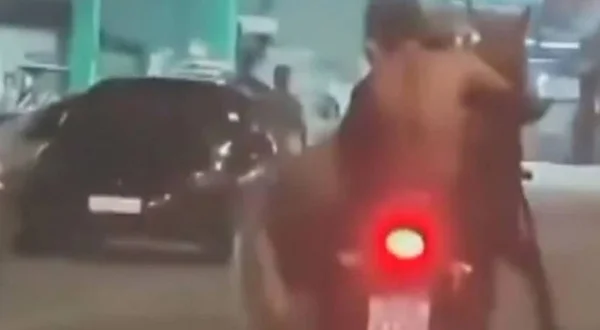 imagem colorida cavalo moto rj