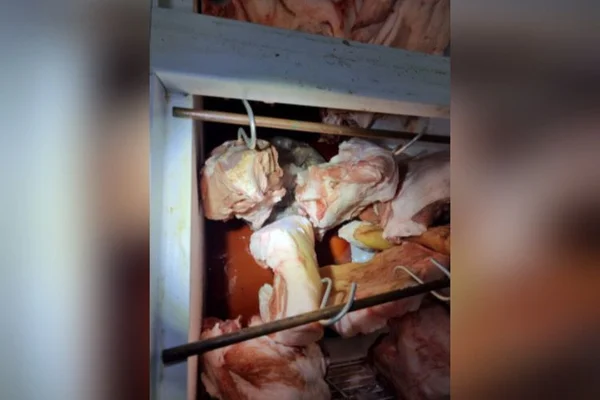 Furto gado rubiataba goias