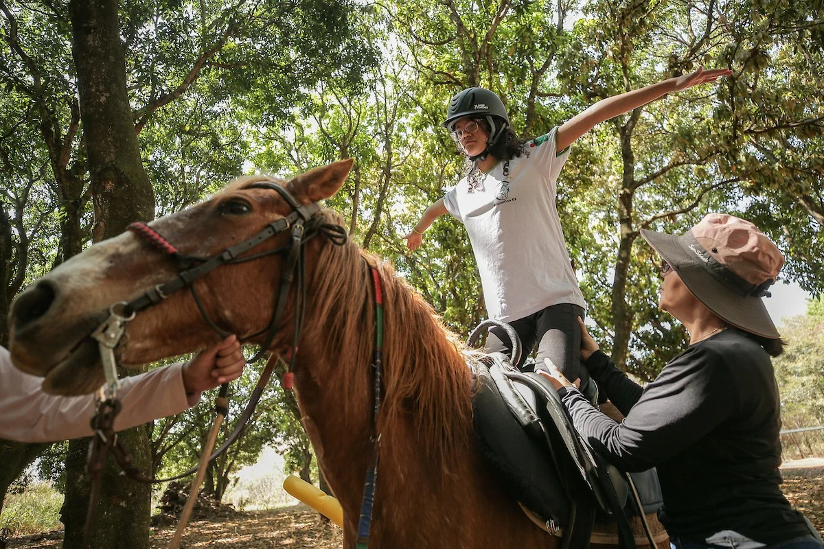 Emanuelle Lopes, de 13 anos, participa da equoterapia há vários meses. Segundo a avó, Janaína Rodrigues, a adolescente ficou mais comunicativa, segura e tranquila Emanuelle Lopes, de 13 anos, participa da equoterapia há vários meses. Segundo a avó, Janaína Rodrigues, a adolescente ficou mais comunicativa, segura e tranquila