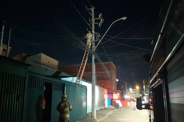 Bombeiros retiram colmeia em rede de energia. Veja imagens da operação