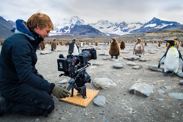 Foto coloria de As Aventuras de Bertie Gregory